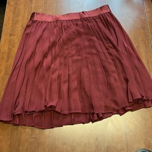 NWT Express Skirt